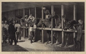 Dinner Time, a Sketch on Board a Transport Ship Conveying Indian Troops from Malta to India